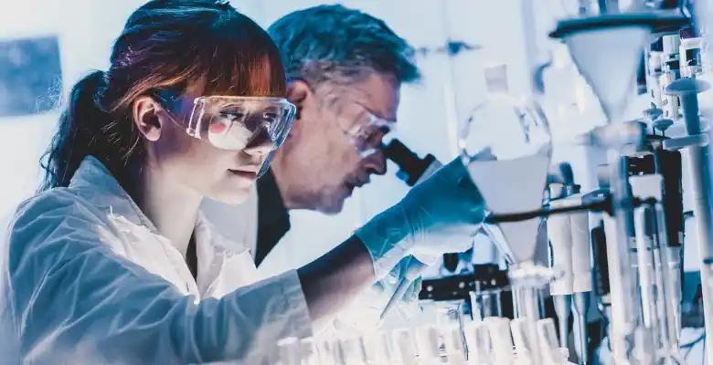 Fat Cell Inflammation Research